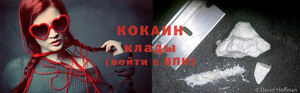 дживик Елабуга