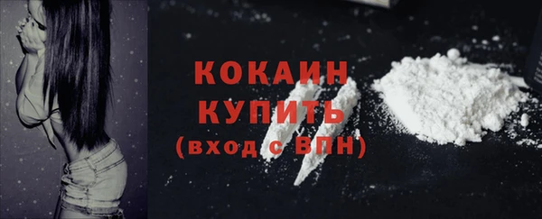 дживик Елабуга