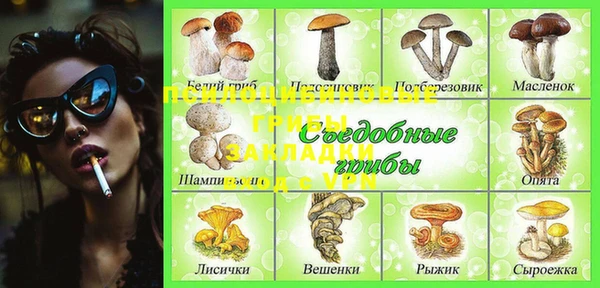 герыч Елизово