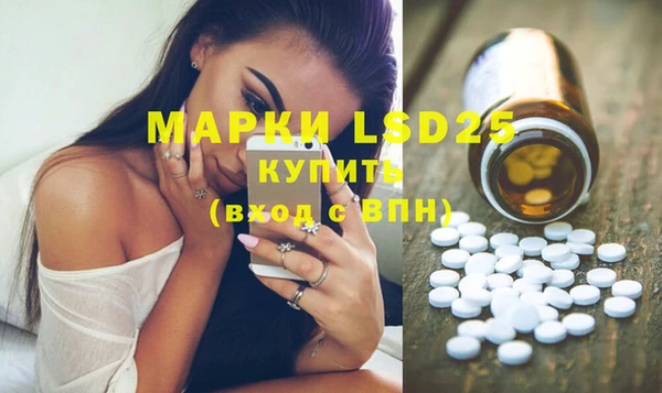 дживик Елабуга