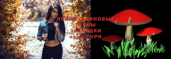 дживик Елабуга