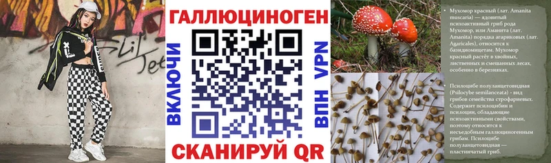 Галлюциногенные грибы Cubensis  Облучье 